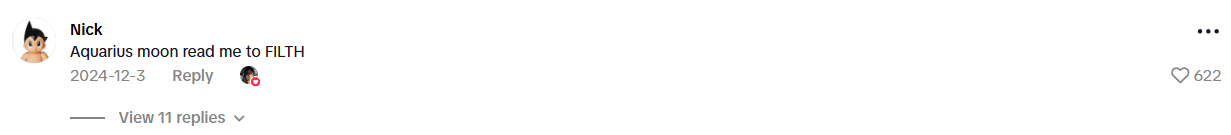 TikTok comment testimonial 1